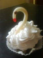 /album/fotogaleria/svadobna-labut-jpg2/